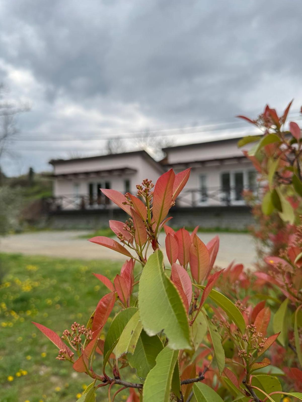 Bora Kuce Na Reci Villa Belgrad Exterior foto